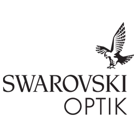 swarovski (1)